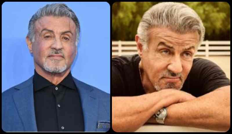 Sylvester Stallone news